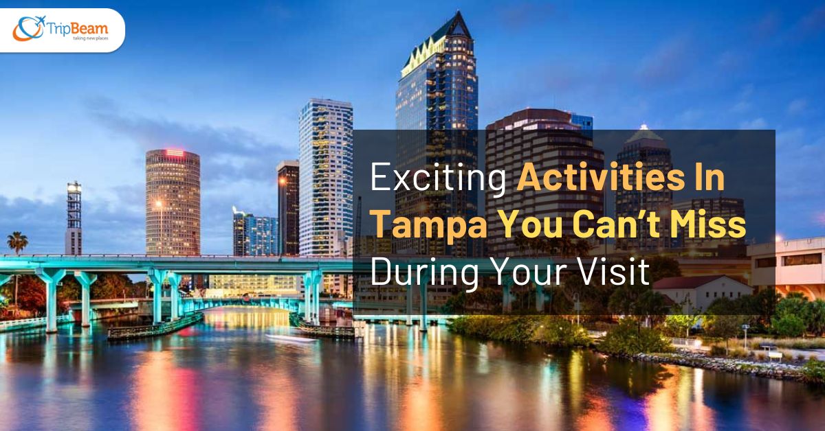 Exciting Activities In Tampa You Can’t Miss During Your Visit