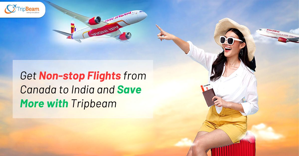 Get Non-stop Flights from Canada to India and Save More with Tripbeam