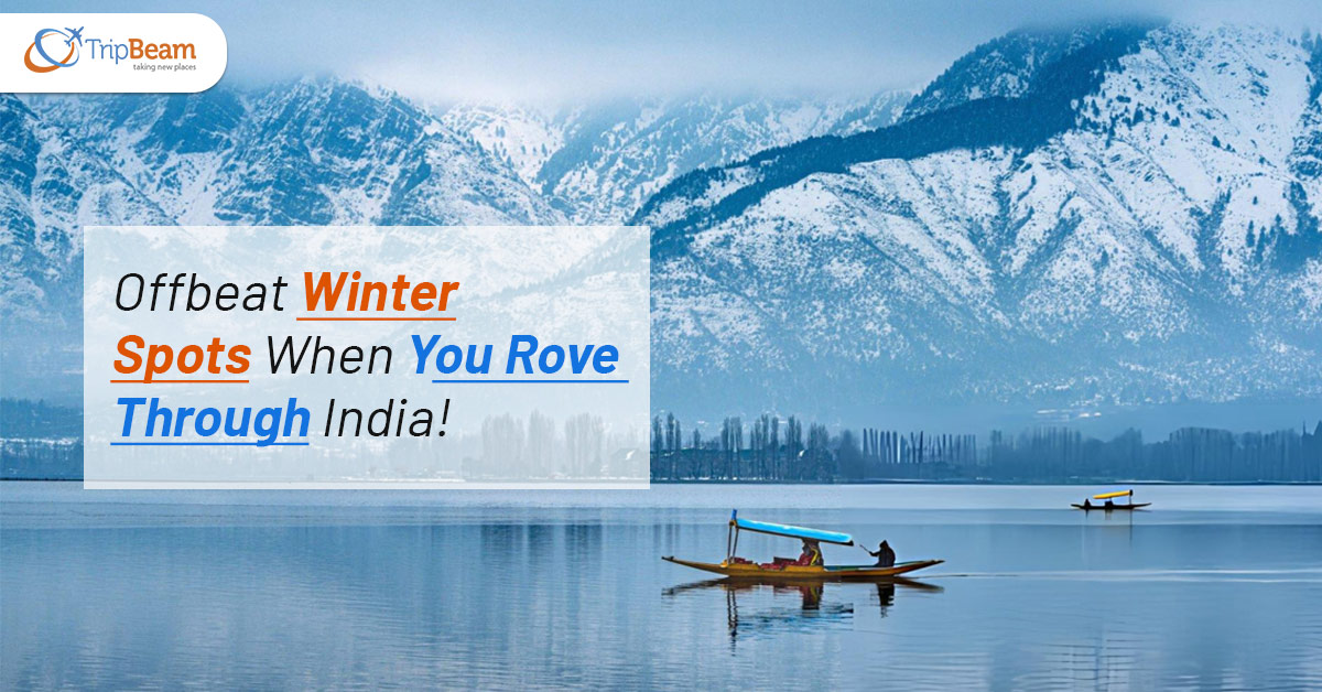 Offbeat Winter Spots When You Rove Through India!